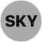 SKYAI