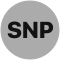 SNP500