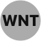 WNTV