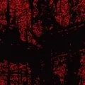 Lascaux Editions