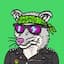 WhatTheFoxes