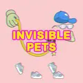 Invisible Pet