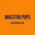 MaestroPups