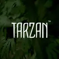Tarzan: Lord of the Apes™