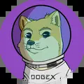 Official DogeX