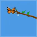 ButterflyClaims