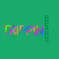 Trippin Okay Bear Tribe