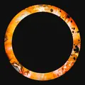 888 Inner Circle - Orange Realm