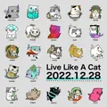Live Like A Cat Mint SBT