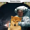 Space Shiba Cards