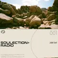 Soulection - Soulection+ Radio: UNTITLED 001