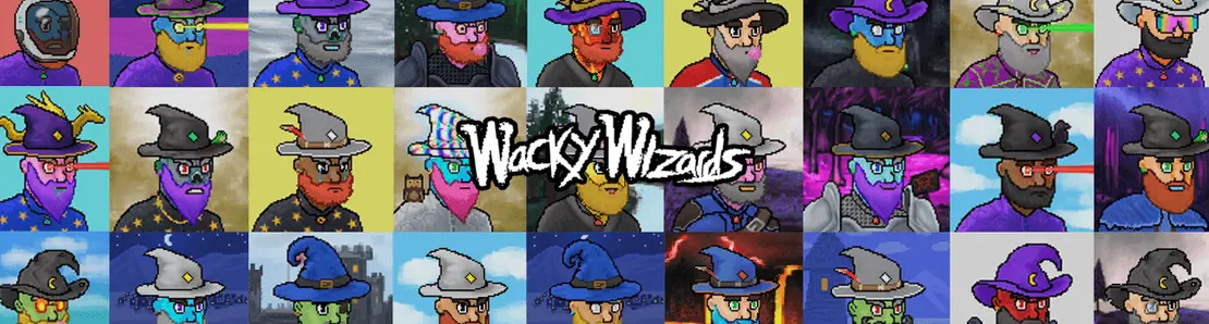 Wacky  Wizards