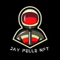 JAY PELLE - NFT COLLECTION