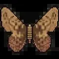 Crypto Moth