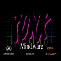 Punk: Mindware: wiym
