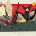 Birds of Solis by Varvara Alay