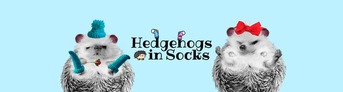 HedgehogsInSocks