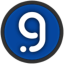 Coin Icon