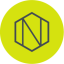 Coin Icon