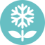 Coin Icon