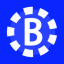 Coin Icon