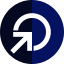 Coin Icon