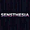 Sensthesia by Zeblocks