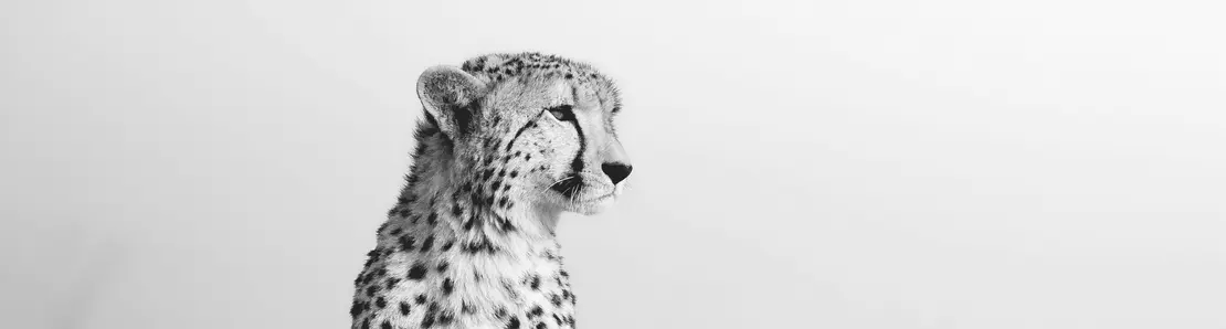 Wildlife | Monochrome