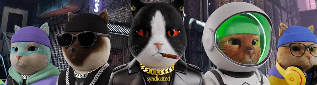 Syndicated Cat Club