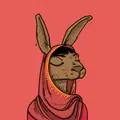 Kool Rabbits - La Femme Collection