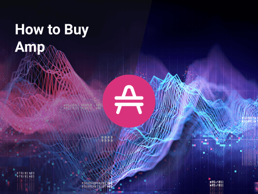 How to Buy Amp