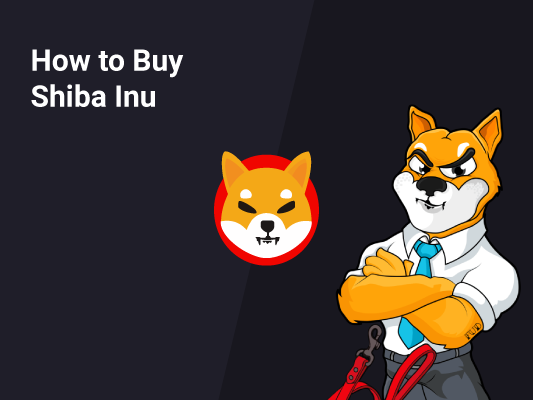 How to buy shiba inu