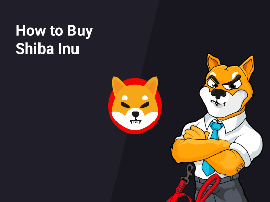 Sab Jholmaal Hai Xxx Video - How to Buy Shiba Inu Coin | Where, How, and Why | CoinStats Blog