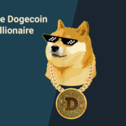 The dogecoin millionaire story