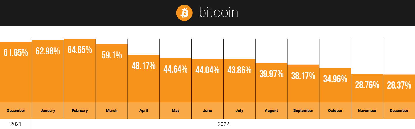 Bitcoin hodlers on CoinStats in 2021