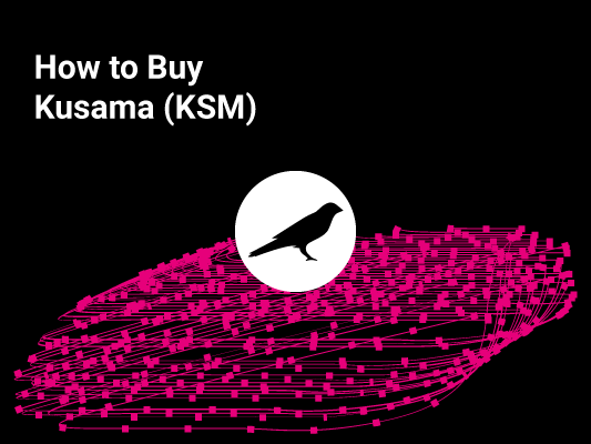 how to buy kusama featured