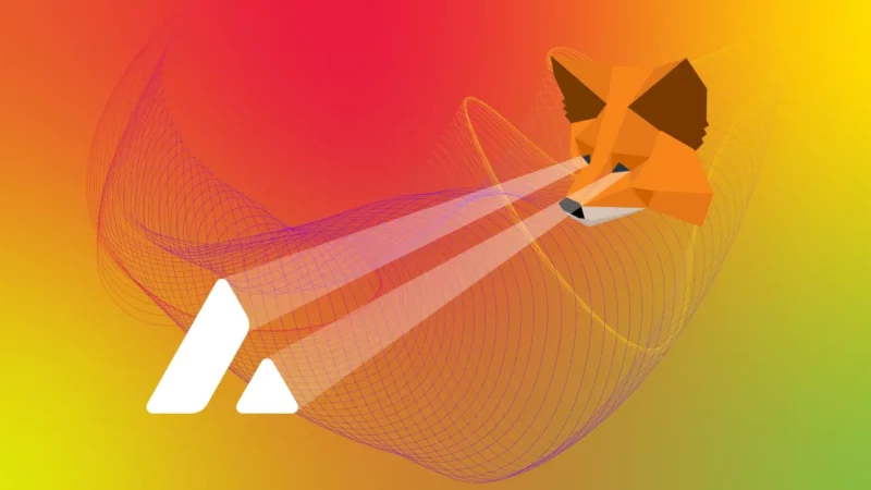 How to Add Avalanche to MetaMask