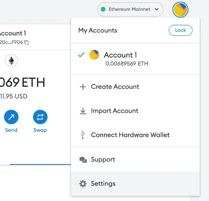 MetaMask Settings