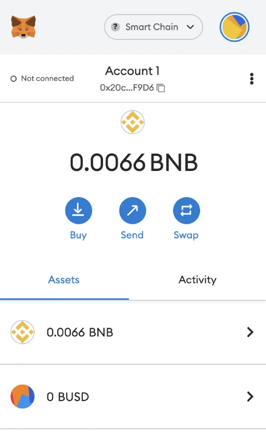 BSC on MetaMask