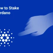 How to Stake Cardano