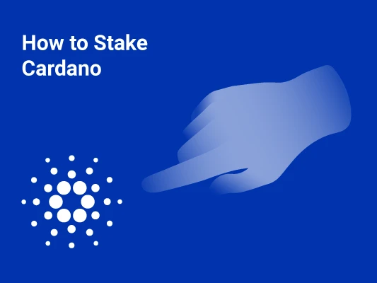 How to Stake Cardano
