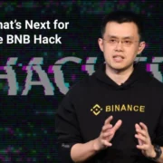 Binance Chain is temporarily suspended