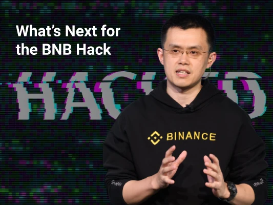 Binance Chain is temporarily suspended