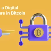 Digital Signature in Bitcoin