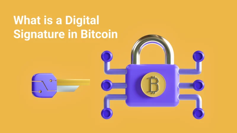 Digital Signature in Bitcoin