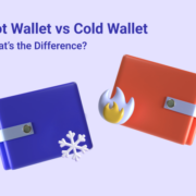 cold wallet vs hot wallet