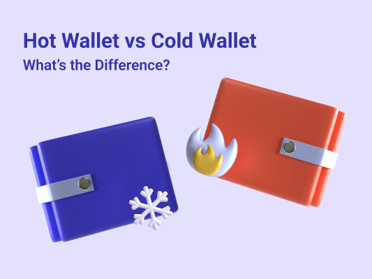 difference between hot and cold crypto wallet