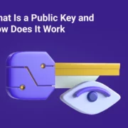 What Is a Public Key