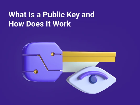 What Is a Public Key and How Does It Work