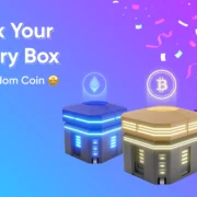 Crypto Mystery Box